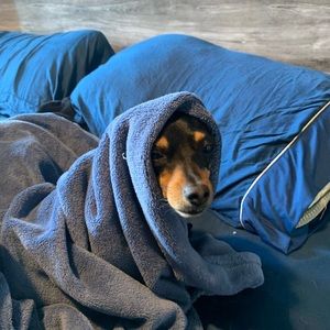 Meet your Posher, Giselle